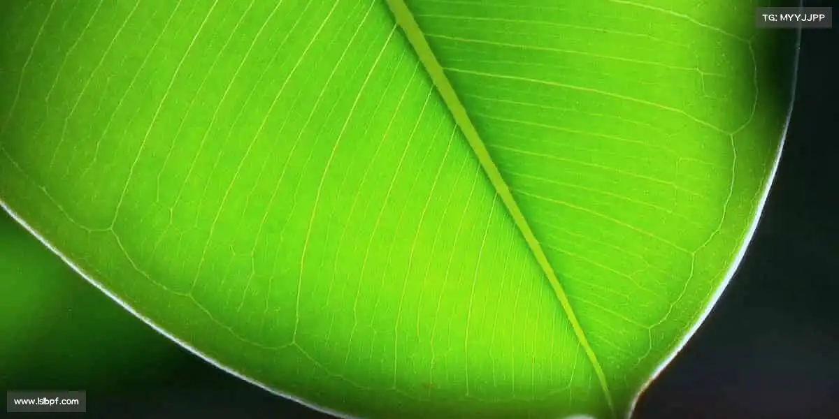 必一每一次坚持，都是对自我的致敬！🤜🤛